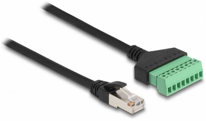 Delock DELOCK RJ45 Kabelis Cat.6 St > Terminalblock Adapteris 30cm 2tlg