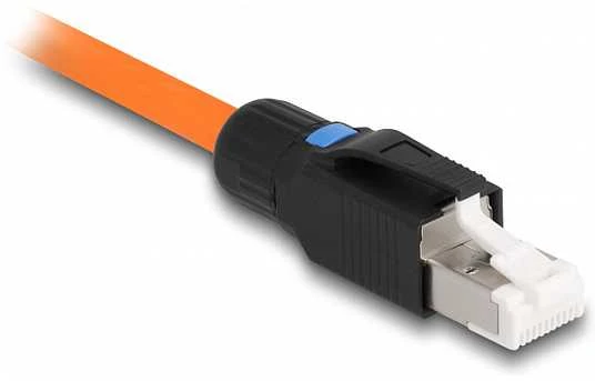 Delock RJ45 kištuko lauko mazgas Cat.6A