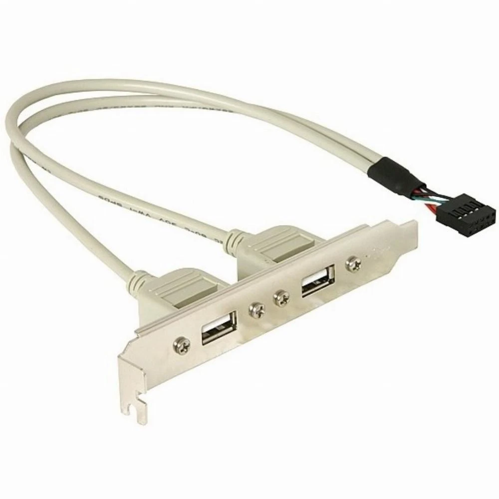 DELOCK lizdo laikiklis vidinis USB 5 kontaktai iki 2x USB2.0 išorinis