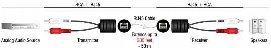 Adapteris AV Delock Stereo Audio Extender RJ45 gniazdo na 2 x wtyk Cinch Cat.5 do 50 m Rinkinys 2 sztuki