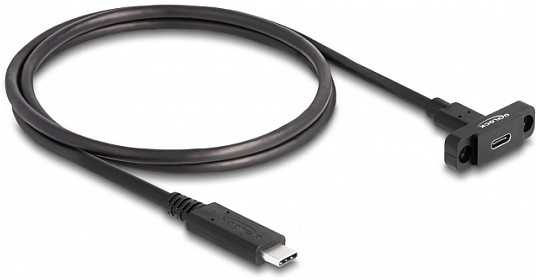 Kabelis USB Delock USB-C - USB-C 1 m Juodas (87824)