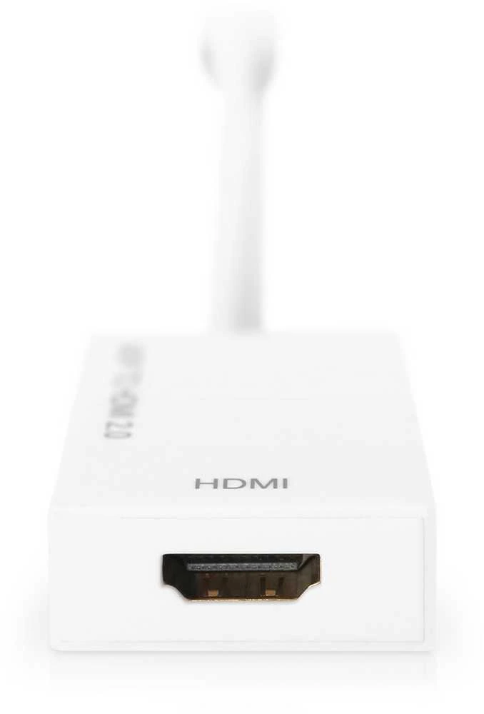 Assmann Electronic ASSMANN DisplayPort adapterio kabelis mini DP - HDMI tipas AM/F 0 2m HDMI Ver. 2.0 aktyvus CE auksinis wh