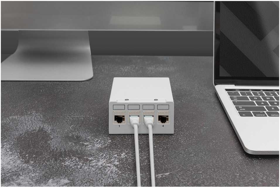 Digitus Digitus Módulo Keystone CAT 6A, revestido, sem ferramentas - 4 kst