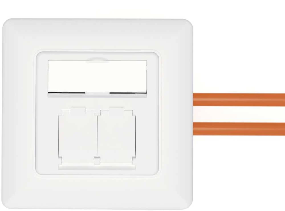 Digitus ZUB CAT 6A Klasse EA Netzwerkdose