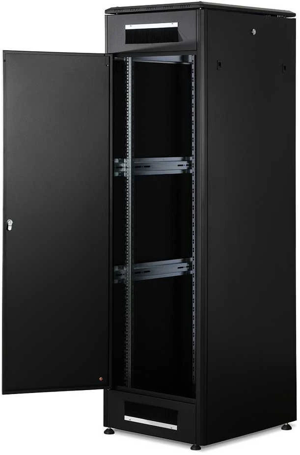 Spinta Digitus Stojąca 19'' 42U (DN-19 42U-6/8-B-1)