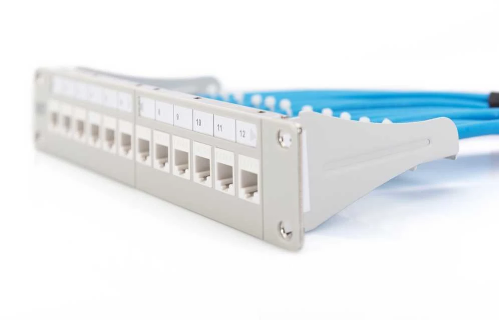 Digitus Patch skydelis 10 "1U 12x lizdas keystone Pilka (DN- 91419)