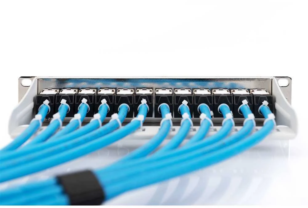 Digitus Patch skydelis 10 "1U 12x lizdas keystone Pilka (DN- 91419)