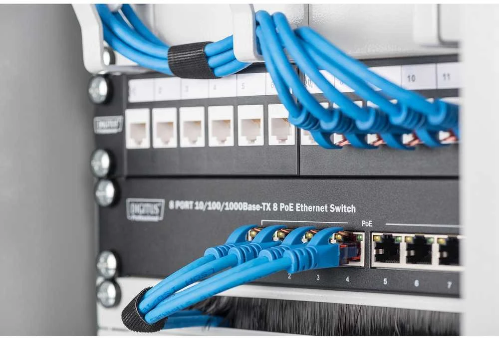 Assmann Electronic DIGITUS Modular Patch Panel ekranuotas 12 prievadų tuščias 1U 10 colių 10 colių stovo montavimo spalva juodas RAL 9005
