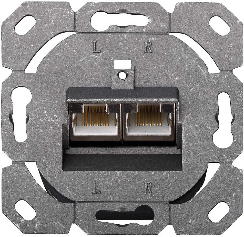 Assmann Electronic DIGITUS CAT 5e sieninis lizdas ekranuotas 2x RJ45 8P8C LSA spalvos grynas baltas paviršinis montavimas