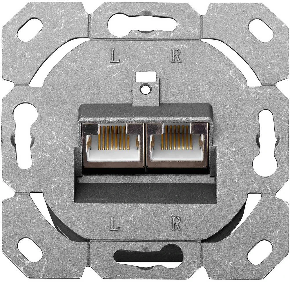 Assmann Electronic DIGITUS modulinis sieninis lizdas 2xRJ45 baltas Cat6 pilnai ekranuotas paviršinis montavimas RAL 9010