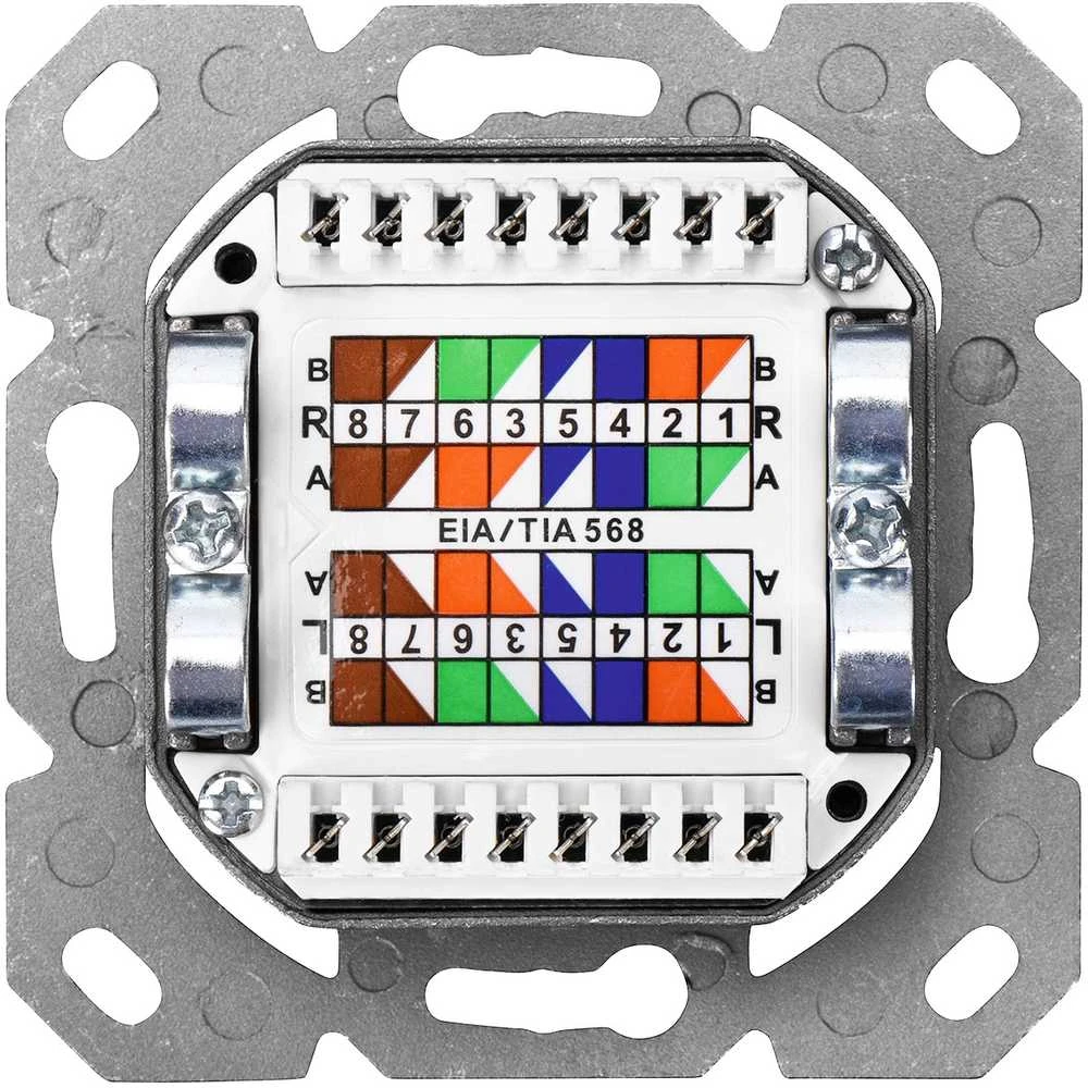 Assmann Electronic DIGITUS modulinis sieninis lizdas 2xRJ45 baltas Cat6 pilnai ekranuotas paviršinis montavimas RAL 9010