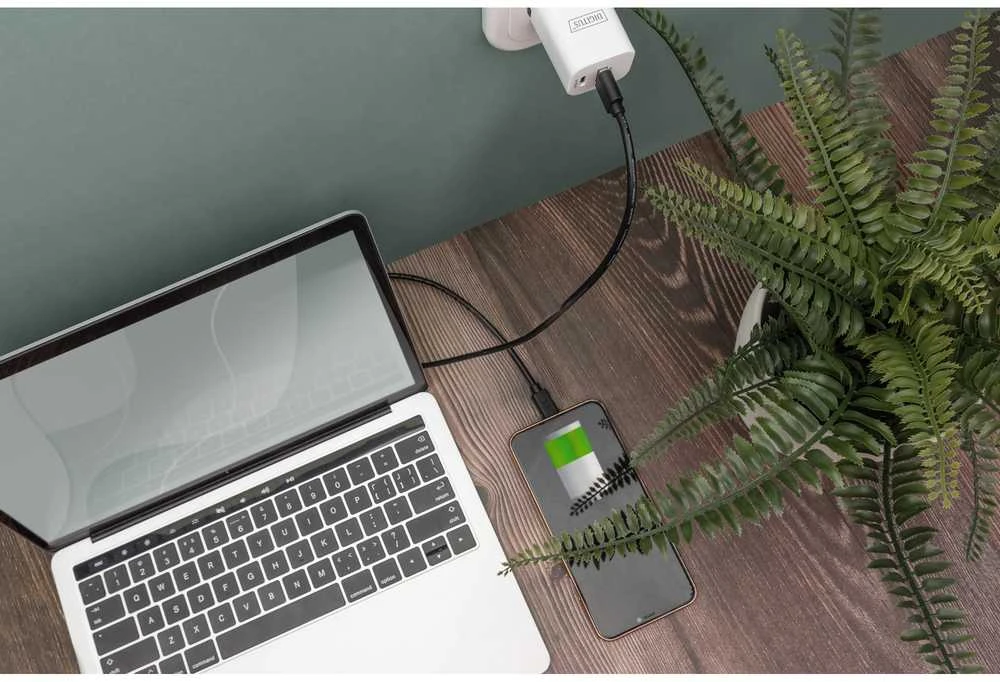 Assmann Electronic ASSMANN USB Type-C jungties kabelis tipas C iki AM/M 3.0m 3A 480MB 2.0 Versija CE bl