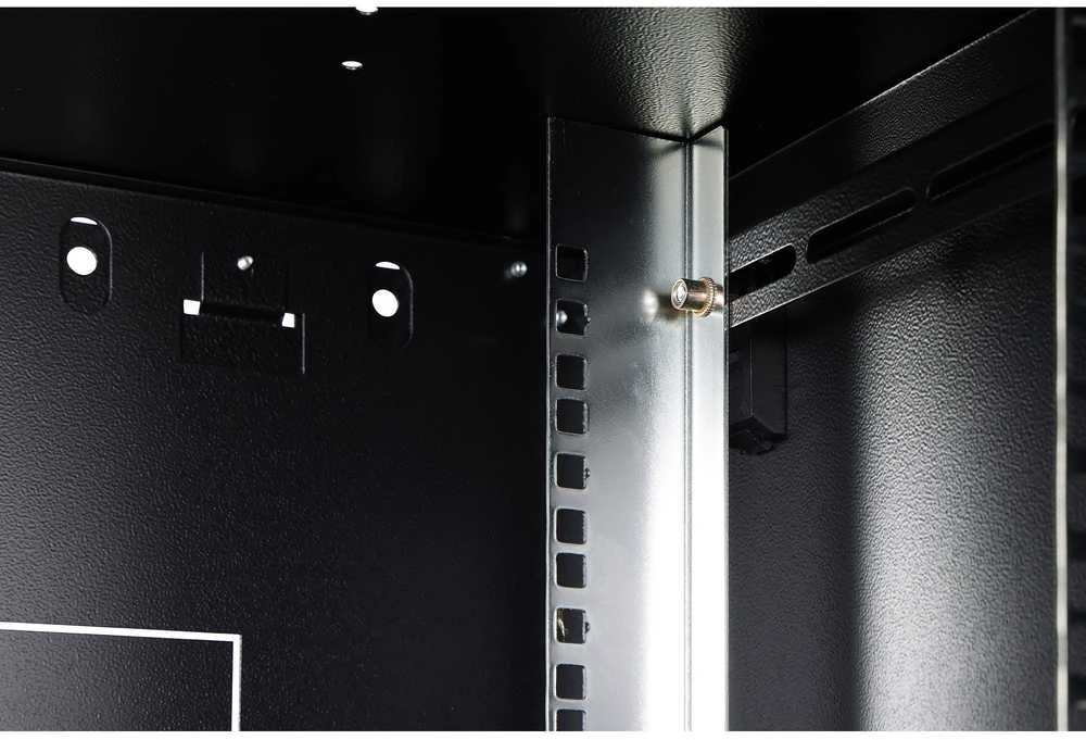 Assmann Electronic Digitus Wall Mounting Cabinet | DN-19 09-U-EC-SW | Juodas