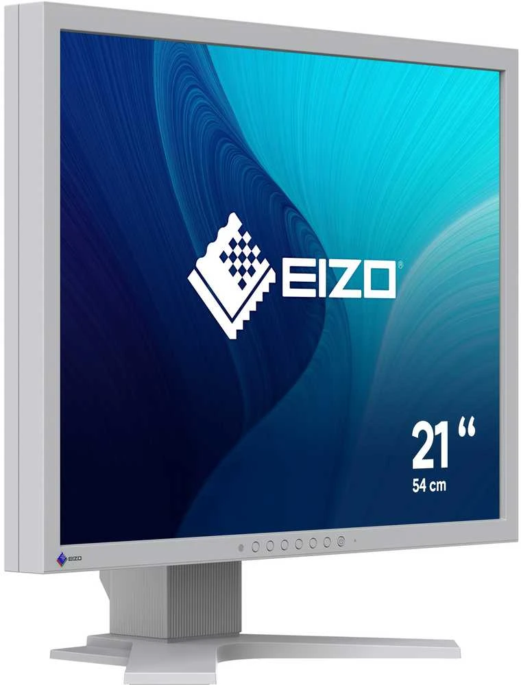 Monitorius EIZO FlexScan S2134-GY 21.3" TFT LCD 1600 x 1200 UXGA Pilkas