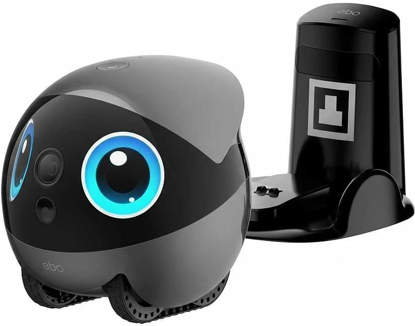 Namų robotas kompanijonas Enabot EBO Air 2 Plus FamilyBot su stebėjimo ir skambučių funkcija, pilkas