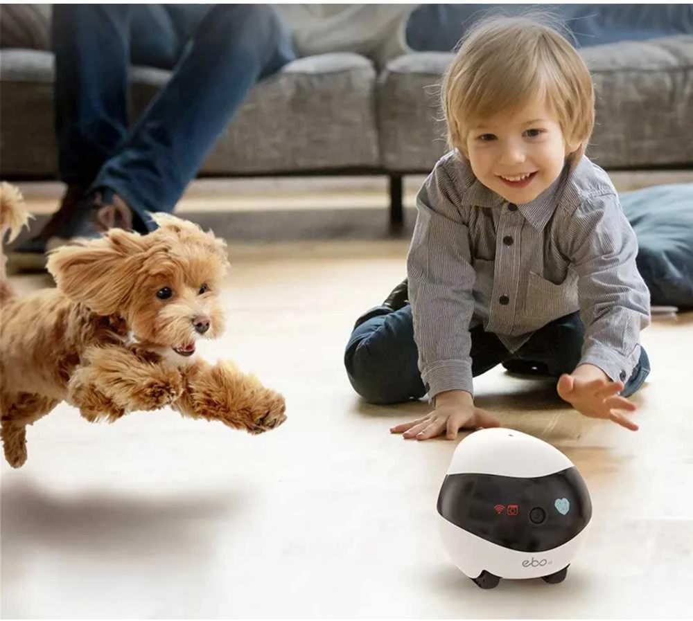 Enabot | EBO SE | Roboto IP kamera | Kompaktiška | 16 GB išorinė atmintis, palaiko daugiausia 256 GB