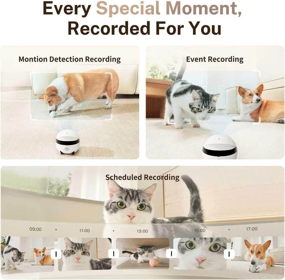 Enabot | ROLA Mini Pet Monitorius | Compact | 3 MP