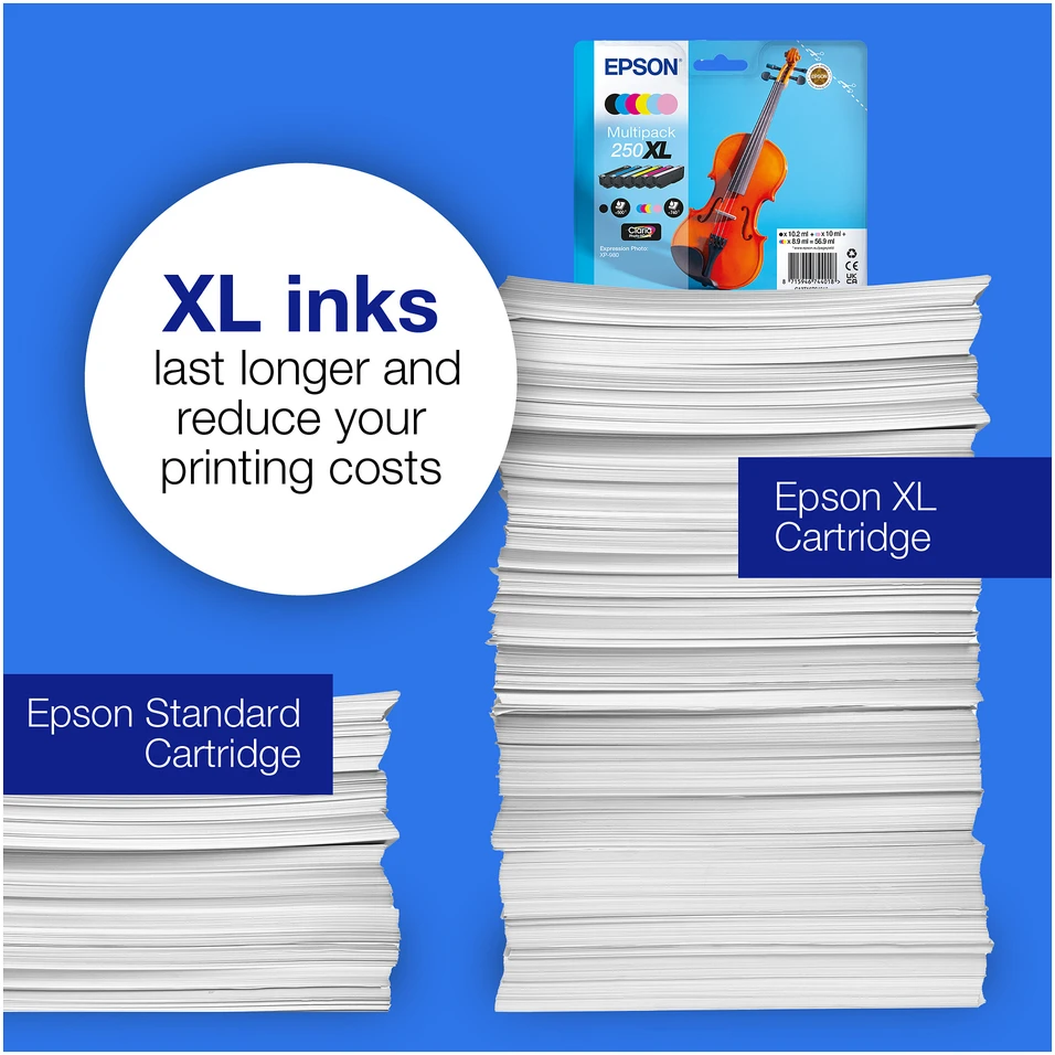 Rašalo Kasetė - Epson 250XL Originali Žydra Rašalo Kasetė