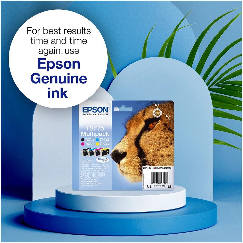 EPSON T0711 rašalo kasetė juodas standartinės talpos 7,4 ml 1 pakuotės lizdinė plokštelė be signalizacijos