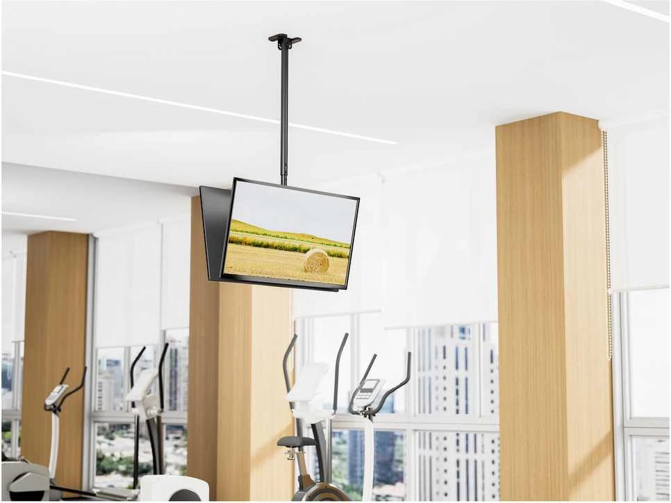 Equip Įrengti 650377 TV laikiklis 2,18 m (86") Juodas