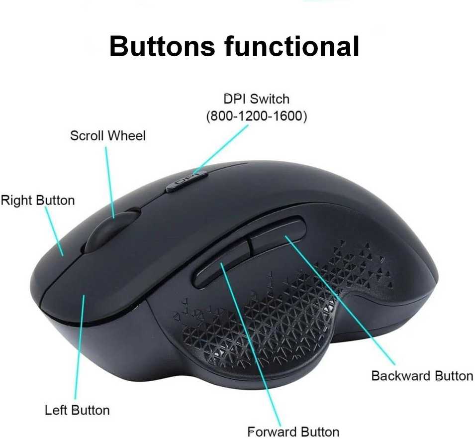 Pelė Equip Komfortmaus Wireless Dual Mode 6Btn Prawa Juodas (245121)