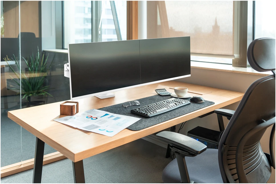 Laikiklis Ergotron Deutschland Ergotron LX PRO ARM DUAL SIDE-BY-SIDE/ESW