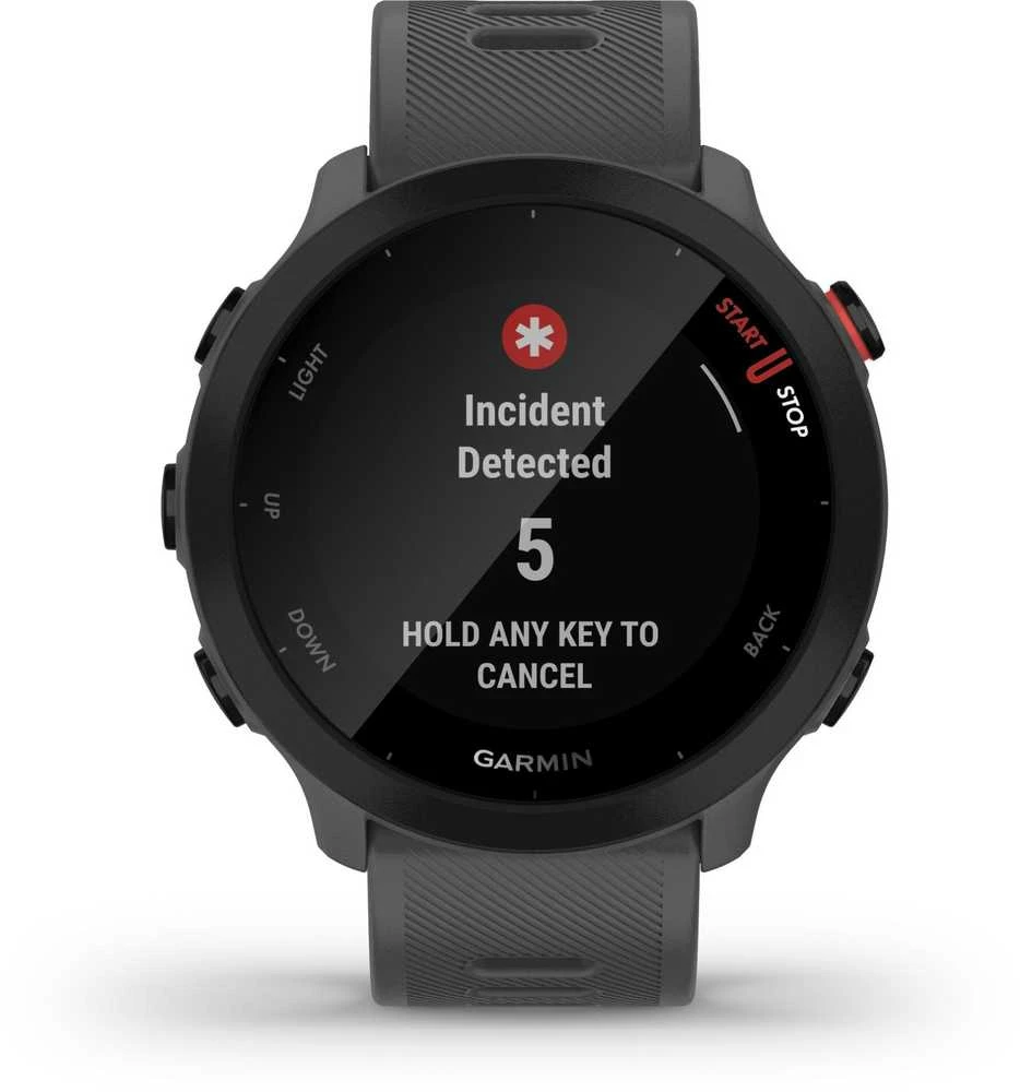 Išmanusis laikrodis Garmin Forerunner 55, Pilkos spalvos