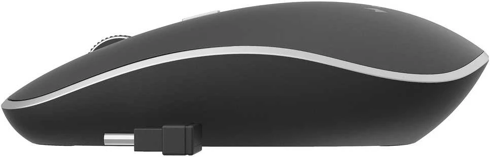 GEMBIRD MUSW-4BSC-01 Silent Optinė belaidė pelė juodas Type-C imtuvas