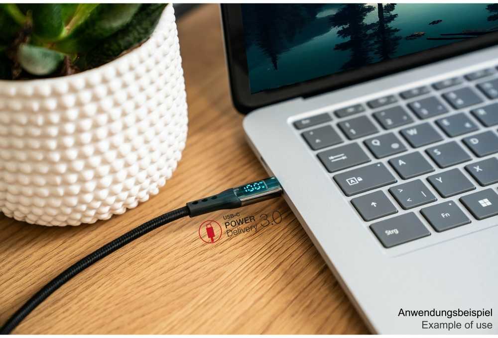 Good Connections Roline USB-C - USB-C kabelis 1 m grafito spalvos (2213-D010S)