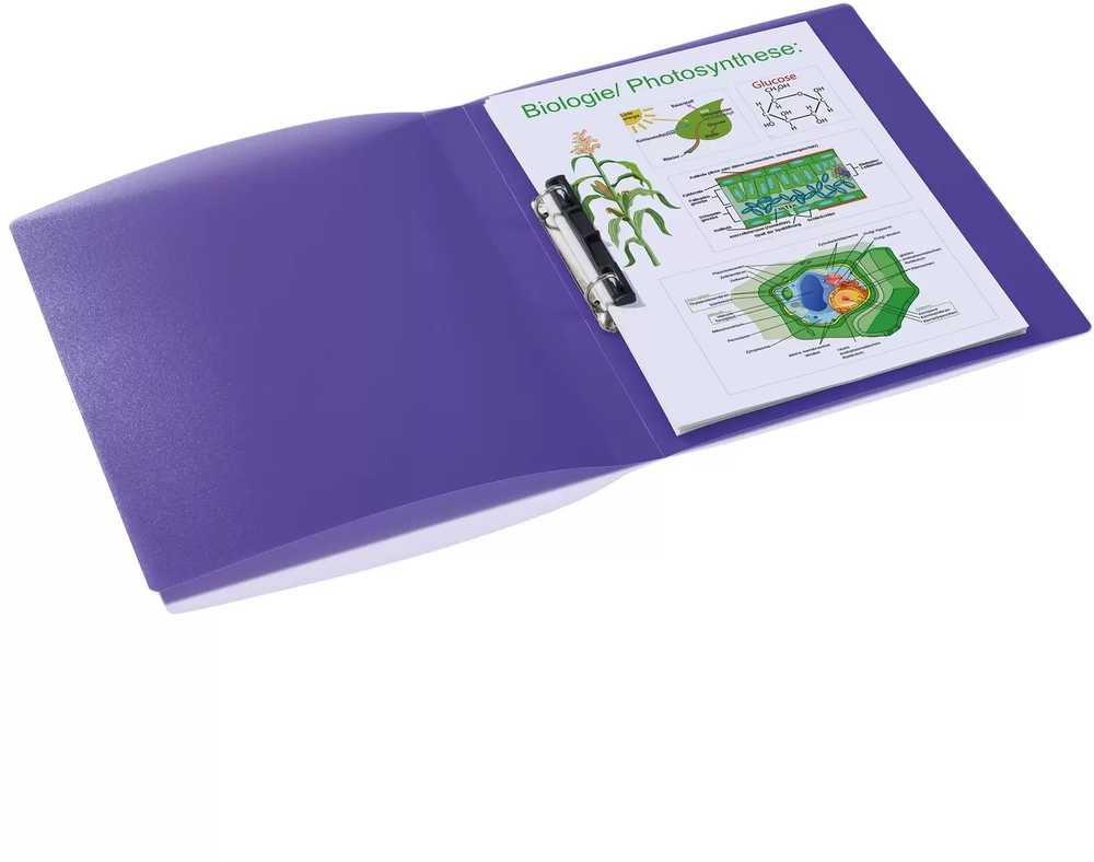 Segregator Herma Segregator A4 uni violetinė