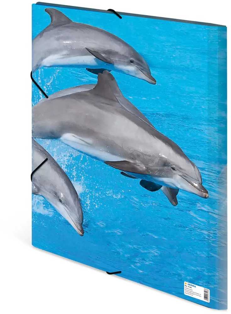 Laikiklis Herma Folder Sammelmappe A3 Delfin Polipropilenas