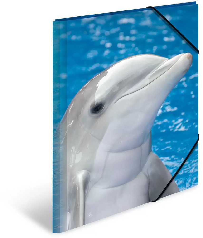 Laikiklis Herma Folder Sammelmappe A3 Delfin Polipropilenas