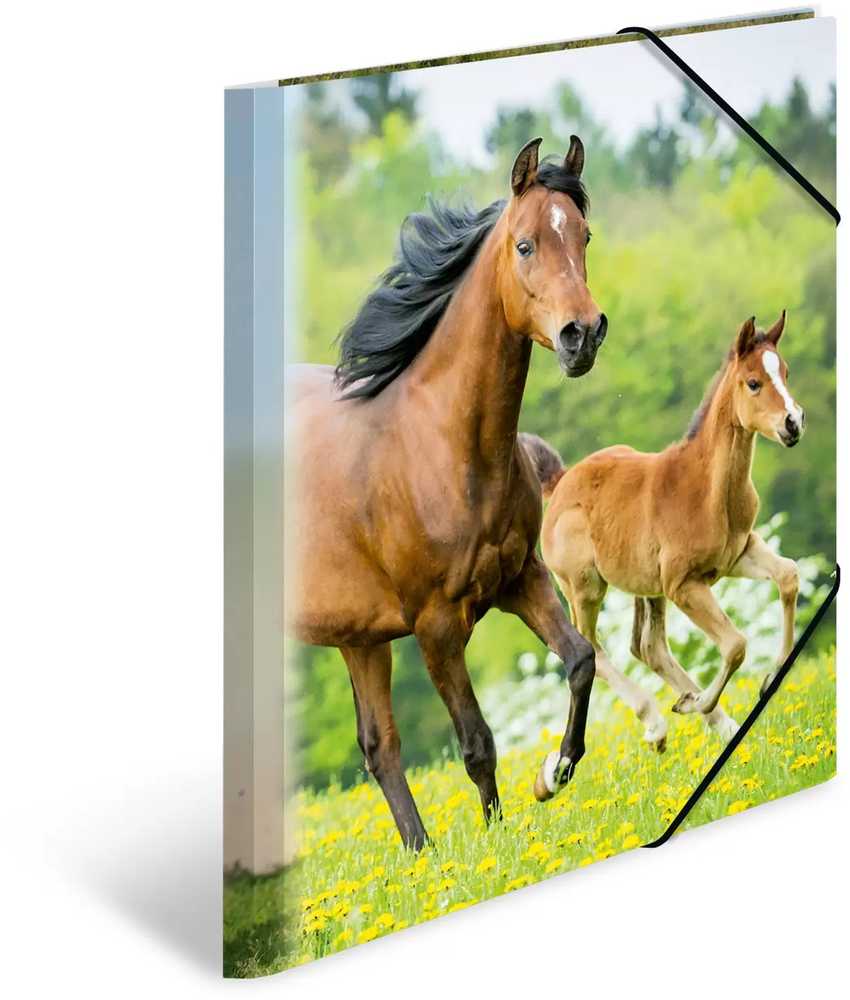 „Herma Folder A4“ (7140)