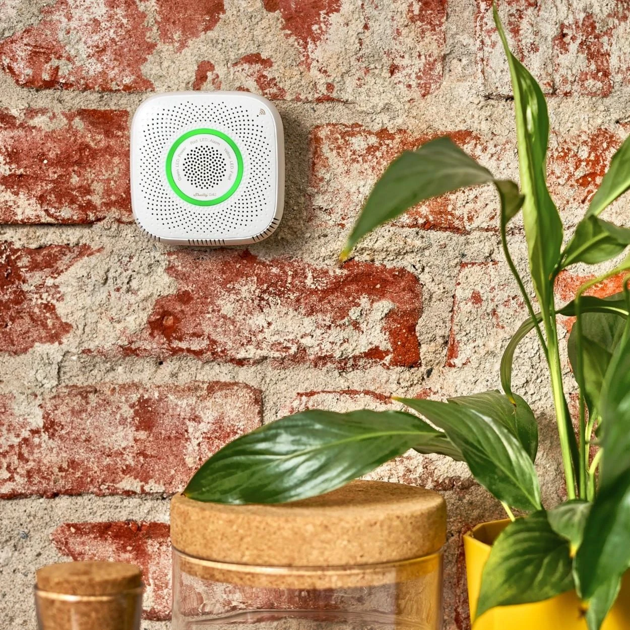 Shelly Gas LPG Wi-Fi valdomas dujų jutiklis su garso ir šviesos signalu