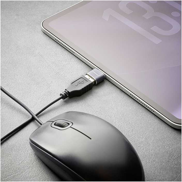 Pilka Intenso USB-A – USB-C adapteris (7600113)
