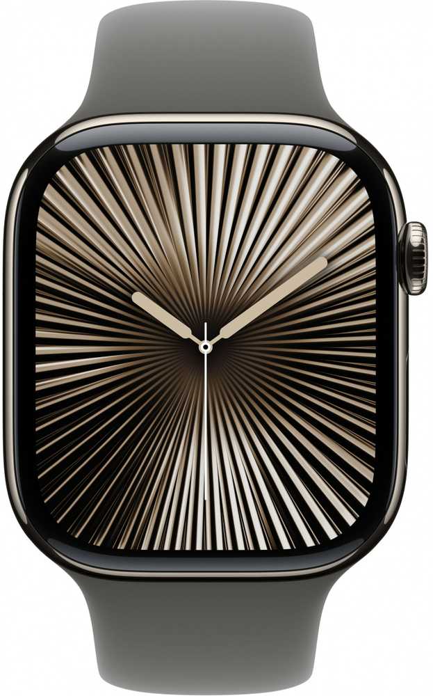 Išmanusis laikrodis Apple Watch 10 GPS + Cellular 46mm Natural Titanium S/M Gray (MWY93QF/A)