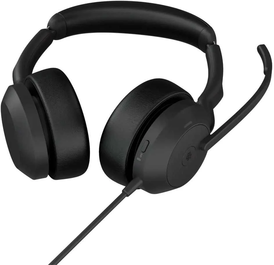 Ausinės JABRA Evolve2 50 USB C/A MS Stereo