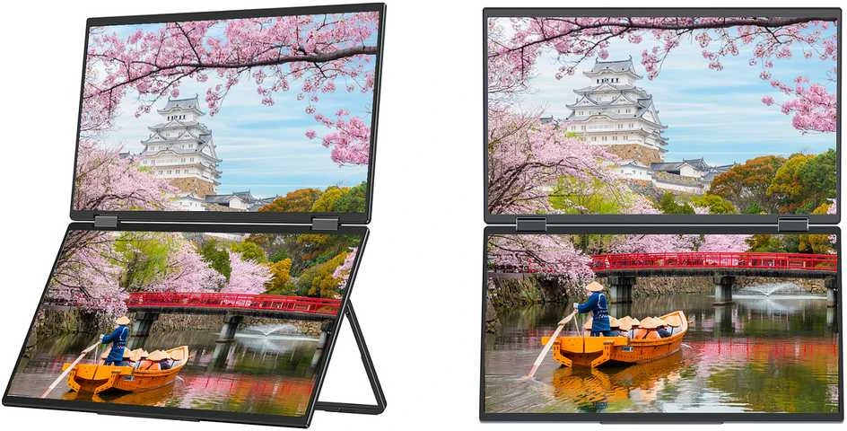 Carruzzo JAPANNEXT JN-DMD-IPS156F kompiuterio monitorius 39,6 cm (15.6″) 1920 x 1080 pikseliai „Full HD“ LCD Juoda
