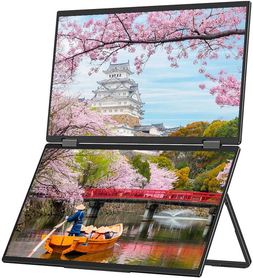 Carruzzo JAPANNEXT JN-DMD-IPS156F kompiuterio monitorius 39,6 cm (15.6″) 1920 x 1080 pikseliai „Full HD“ LCD Juoda