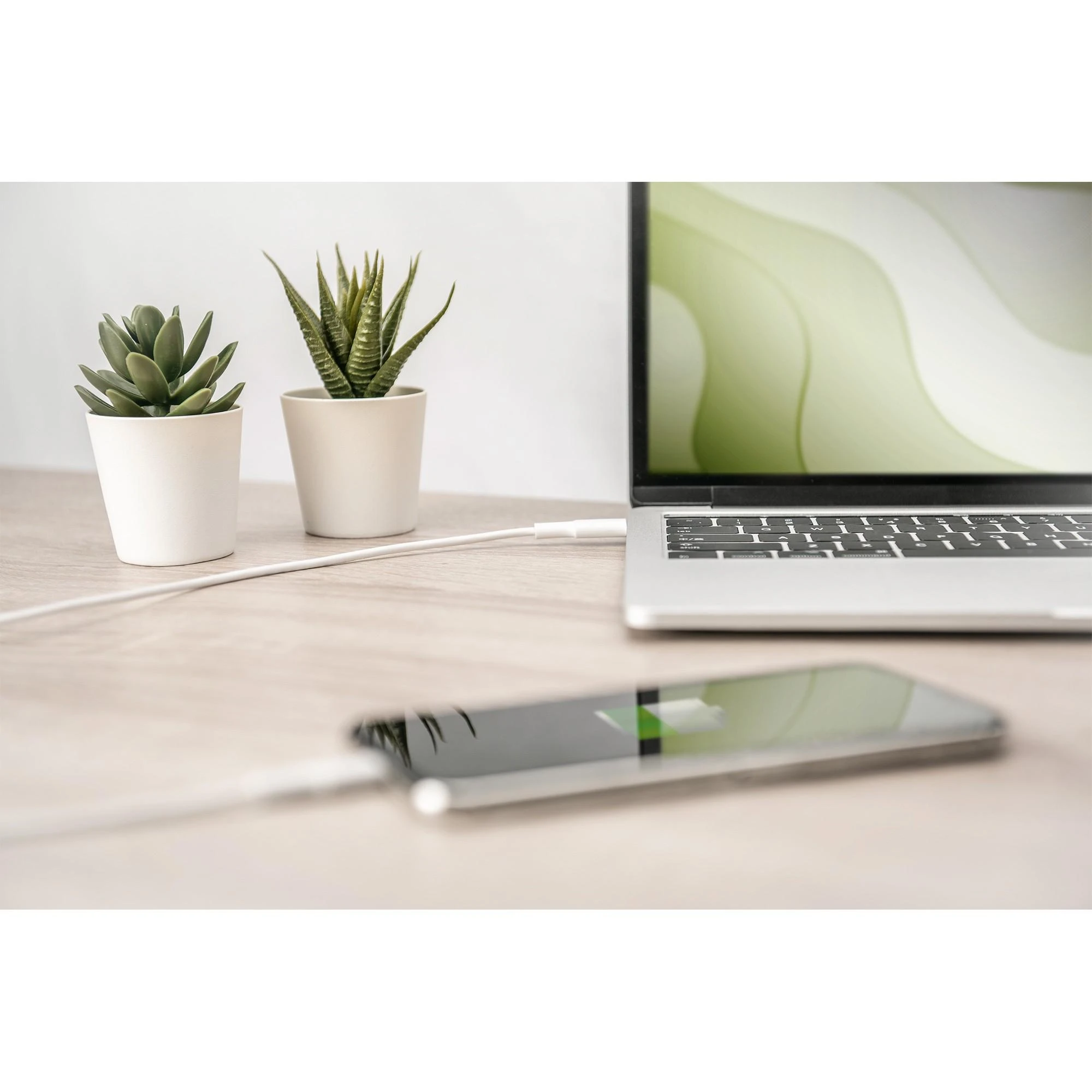 DIGITUS duomenų / įkroviklio kabelis, USB-C - Lightning, MFI