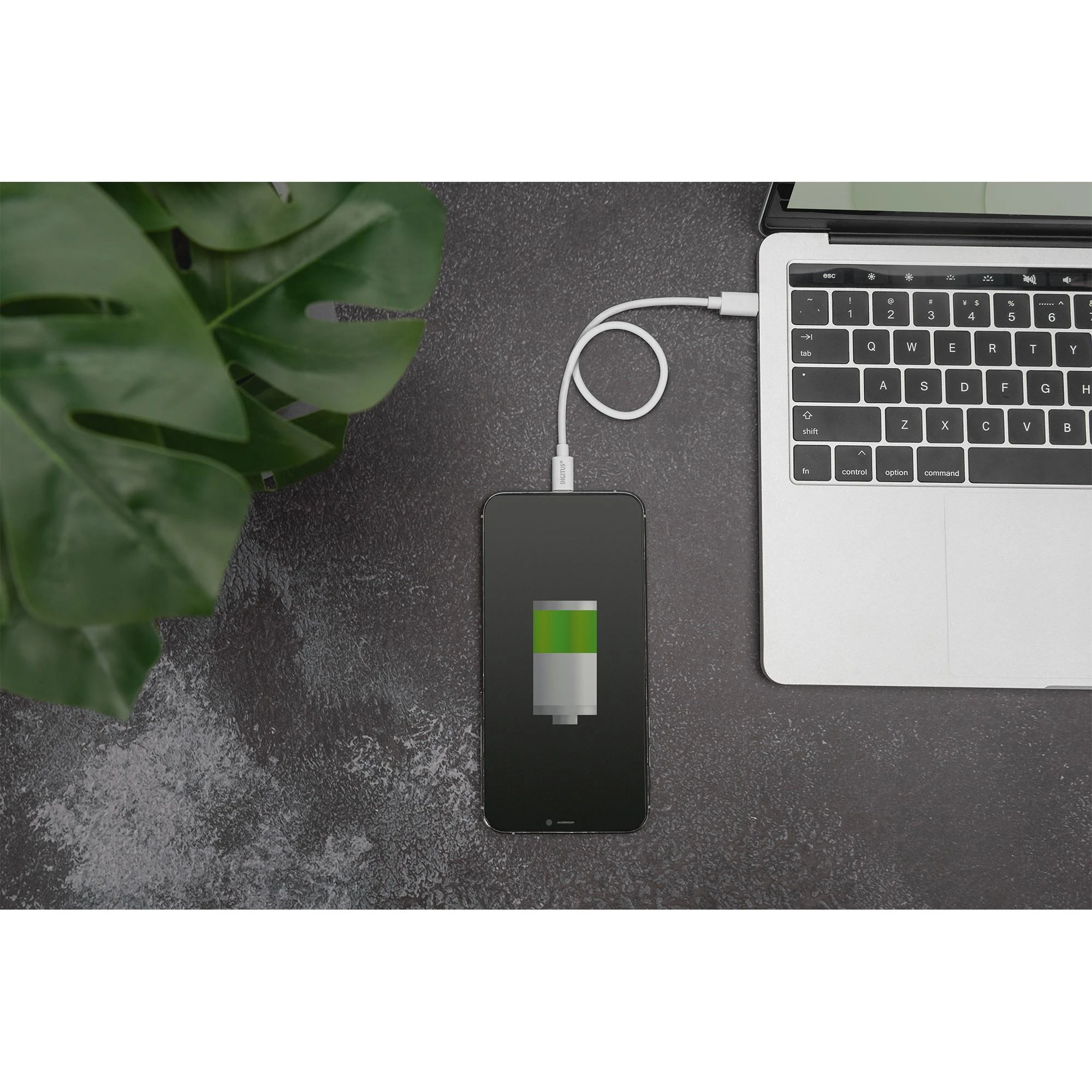 Digitus Skaitmenas | Lightning to USB-C duomenų / įkrovimo kabelis | DB-600109-020-W | USB-C prie Lightning Apple Lightning 8 kontaktų | USB C