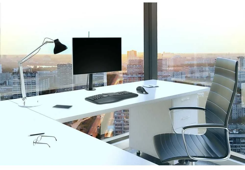 Monitoriaus laikiklis Kensington k55411ww, Vesa 100