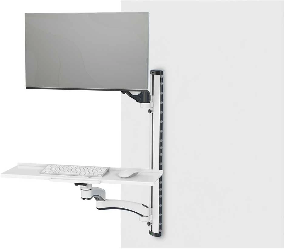 TV laikiklis Assman elektroninis DIGITUS darbo stoties monitoriaus sieninis laikiklis