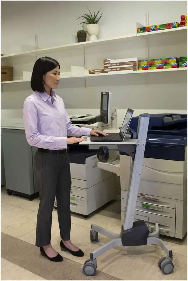 Laikiklis Ergotron Neo-Flex - Cart - for notebook / pelė / barcode scanner