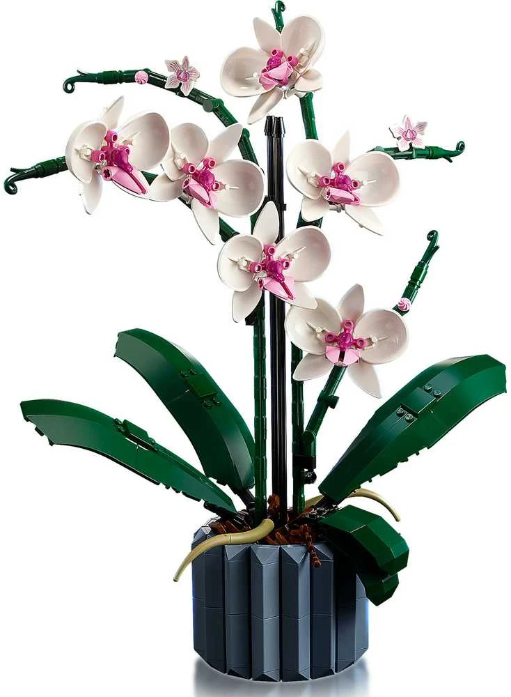 LEGO® Icons Orchidėja (10311)