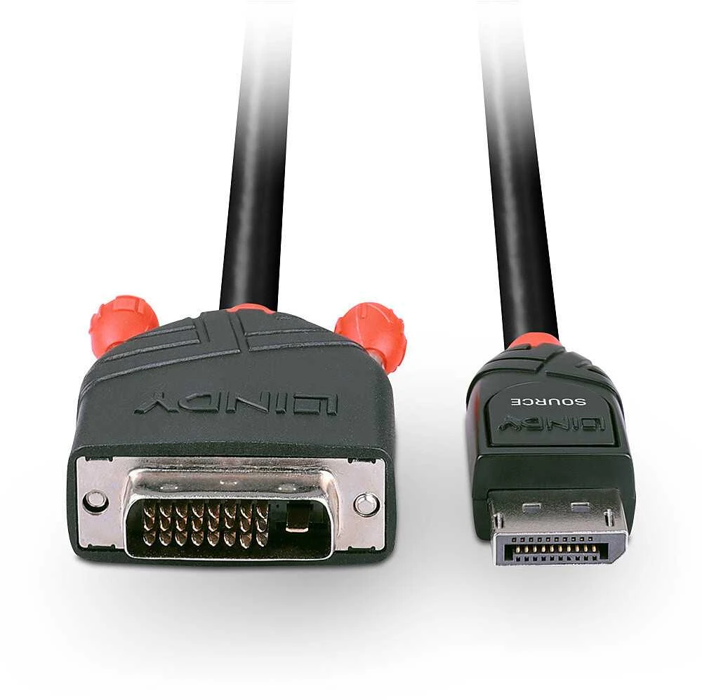 Lindy DisplayPort - DVI M/M 2m juodas