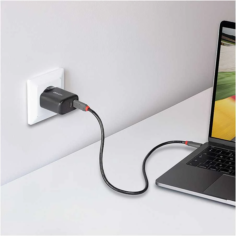 Įkroviklis - LINDY USB 2 x Type C GaN Įkroviklis, 65W, Juodas