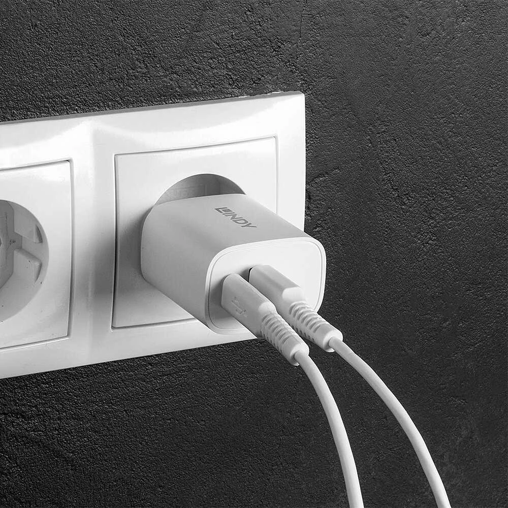 Įkroviklis - LINDY USB Type A ir C Įkroviklis, 100-240VAC, 20W, Baltas