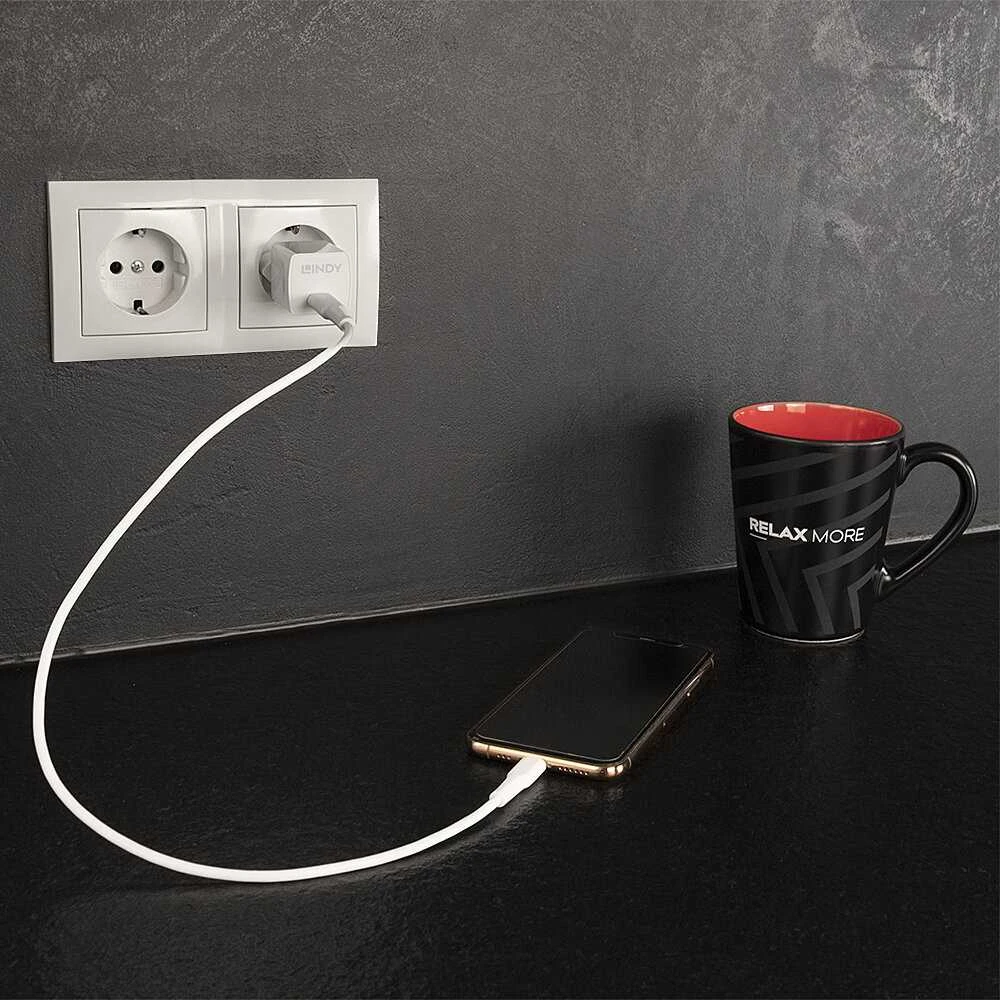 Įkroviklis - LINDY USB Type C GaN Įkroviklis, 20W, Baltas