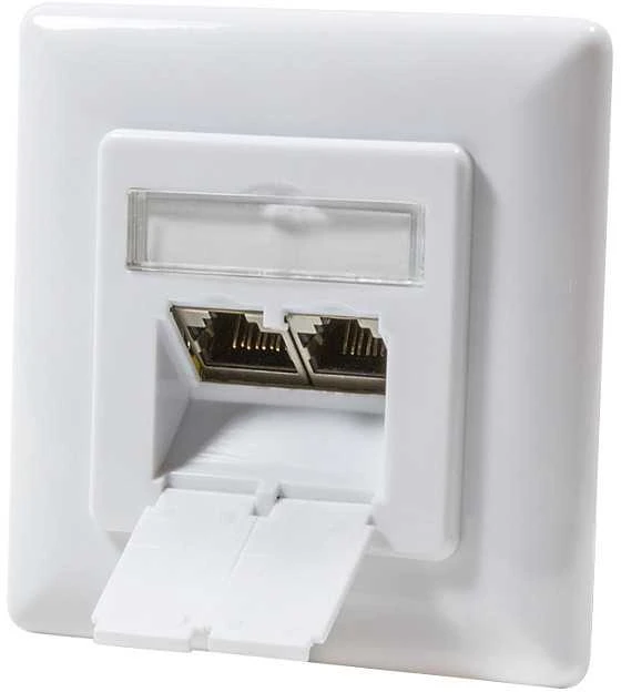 LogiLink LogiLink Cat.6A Anschlussdose, 2x RJ45,baltas, waagerecht - NP0123